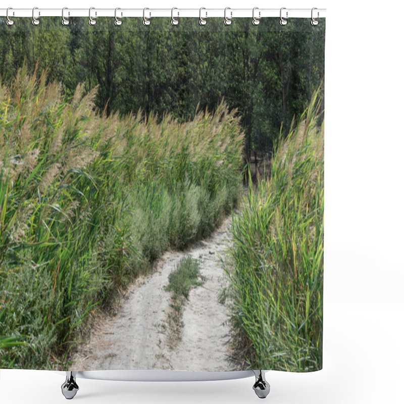 Personality  Country Road Among The Green Reeds. Stalk Cane Blowing In The Wind From Both Sides Pedestrian Path. View On Brown Bulrush In The Swamp. Nature Outdoors Plants Growing. Shower Curtains