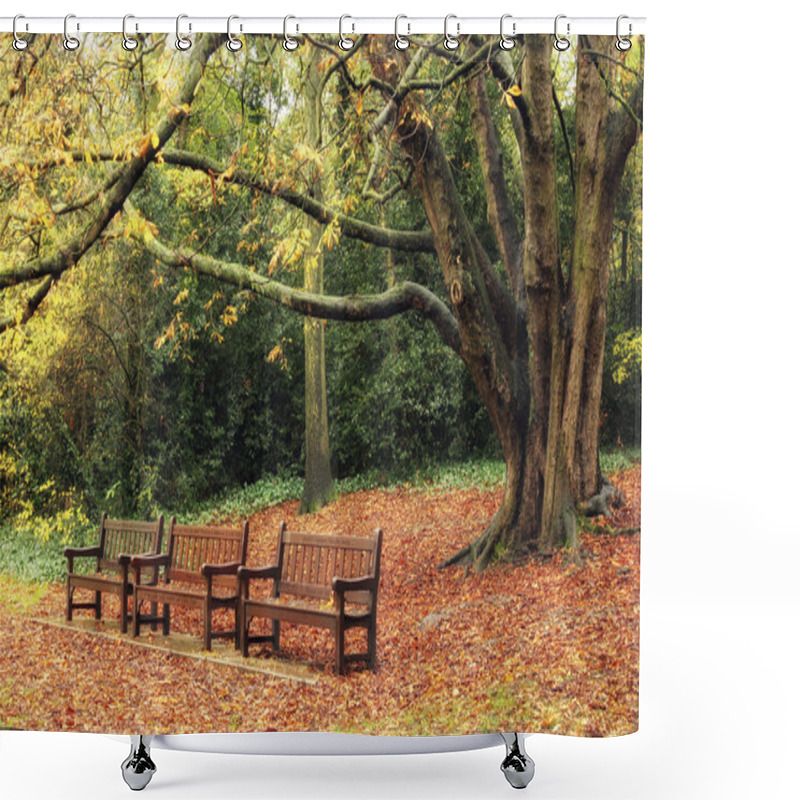 Personality  Autumn Park Shower Curtains