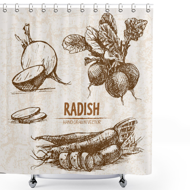 Personality  Digital Vector Detailed Line Art Radish Vegetable Shower Curtains