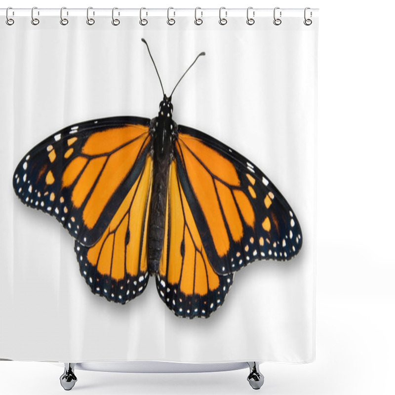 Personality  Monarch Butterfly Shower Curtains