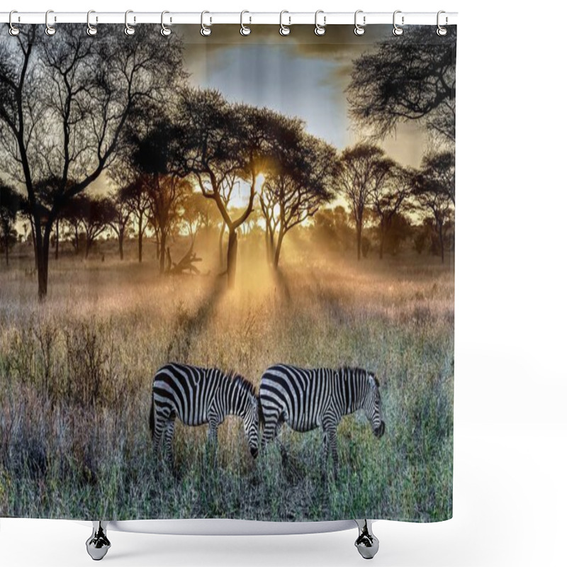 Personality  A Field Covered In The Grass And Trees Surrounded By Zebras Under The Sunlight During The Sunset Shower Curtains