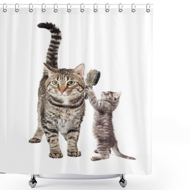 Personality  Two Cute Kittens Shower Curtains