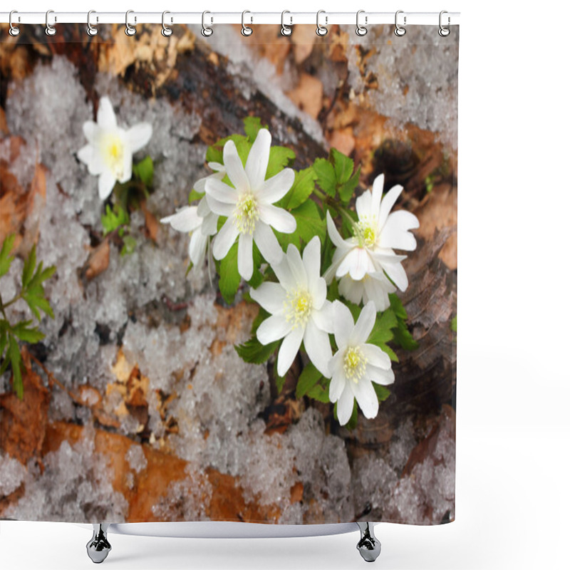 Personality  Snowdrop Flowers And Melting Snow Shower Curtains