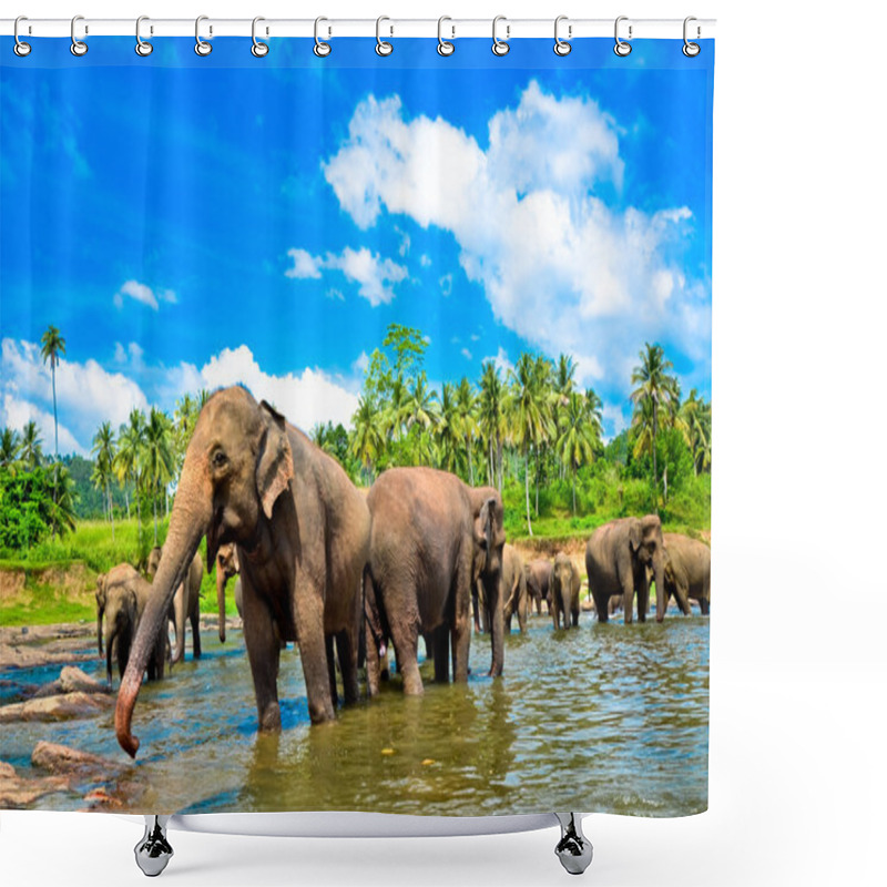 Personality  Elephant Group In The River Shower Curtains