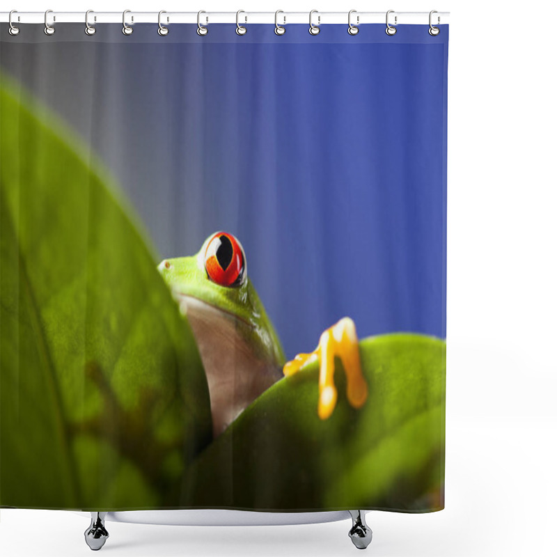 Personality  Tropical Frog, Amphibian Animal Shower Curtains