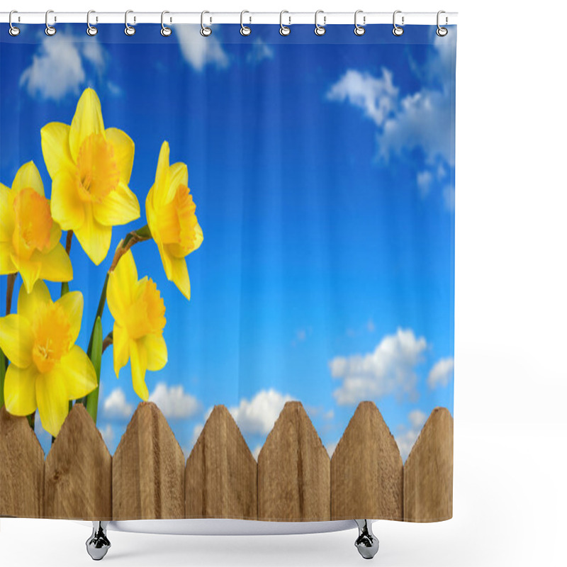 Personality  Daffodils, Fence And Blue Sky Shower Curtains