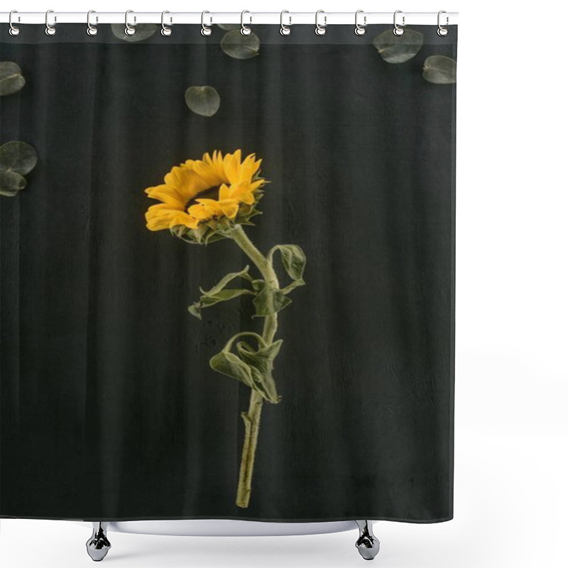 Personality  Beautiful Blooming Sunflower Isolated On Black Shower Curtains