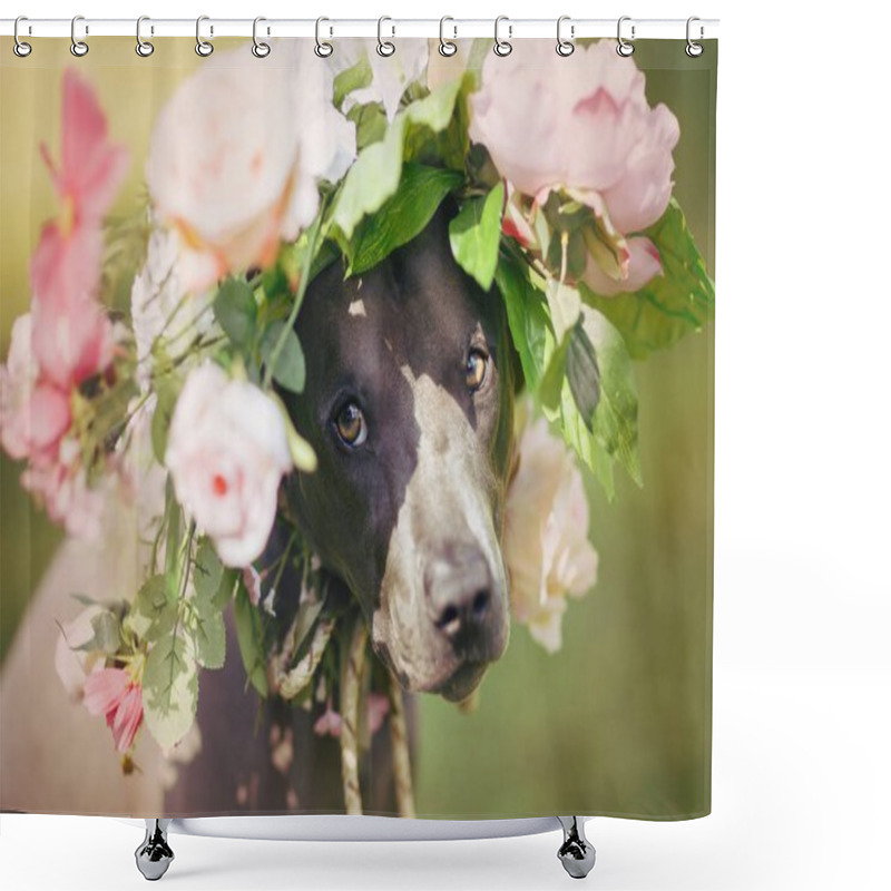 Personality  Beautiful Young Thai Ridgeback Dog In Flower Wreath On Head. Summer Season. Outdoor Shot. Natural Light. Copy Space. Shower Curtains