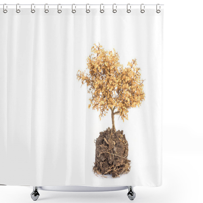 Personality  Beautiful Dried Plant Shower Curtains