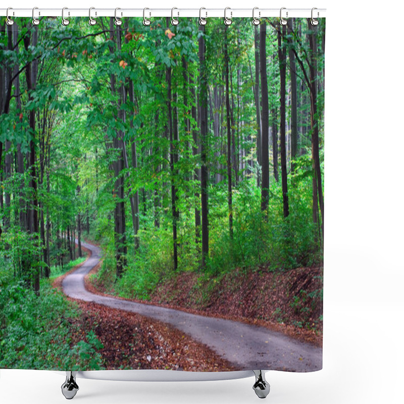 Personality  Green Forest With Pathway Shower Curtains