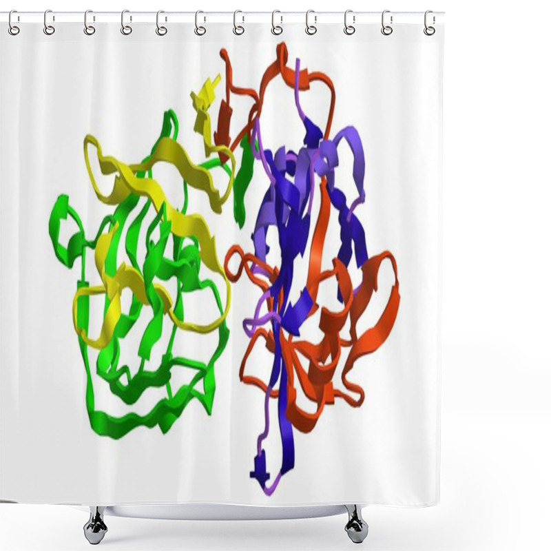 Personality  Molecular Structure Of Enzyme Pepsin Shower Curtains