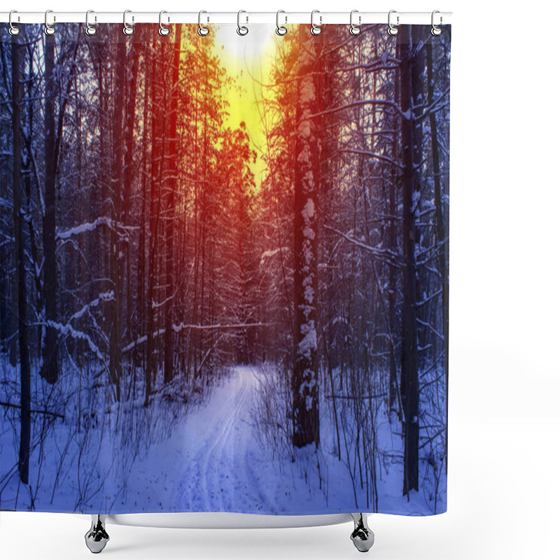 Personality  Ski Run In The Winter Sunny Forest Shower Curtains