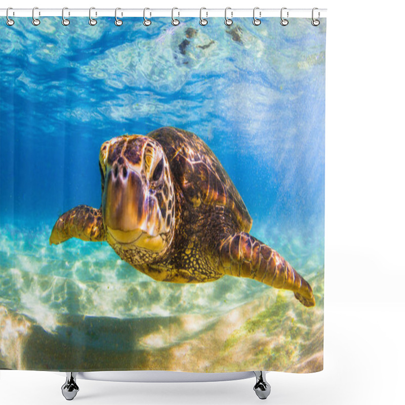 Personality  Hawaiian Green Sea Turtle Cruising In The Warm Waters Of The Pacific Ocean In Hawaii Shower Curtains