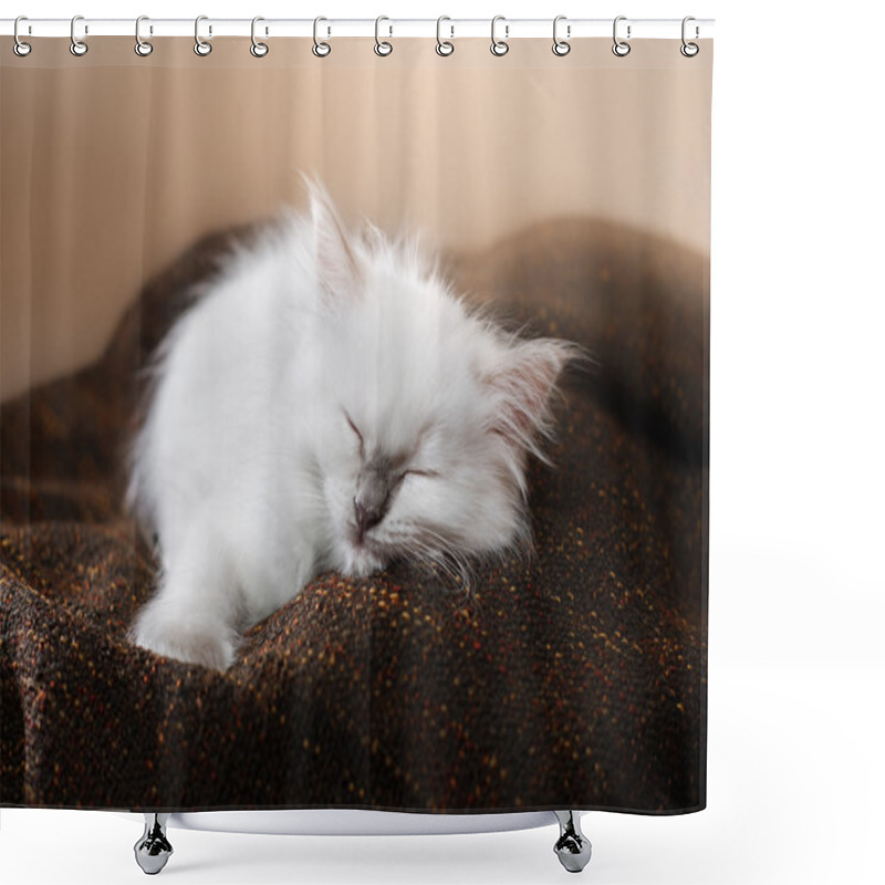 Personality  Ragdoll Blue Point Little Kitten  Shower Curtains