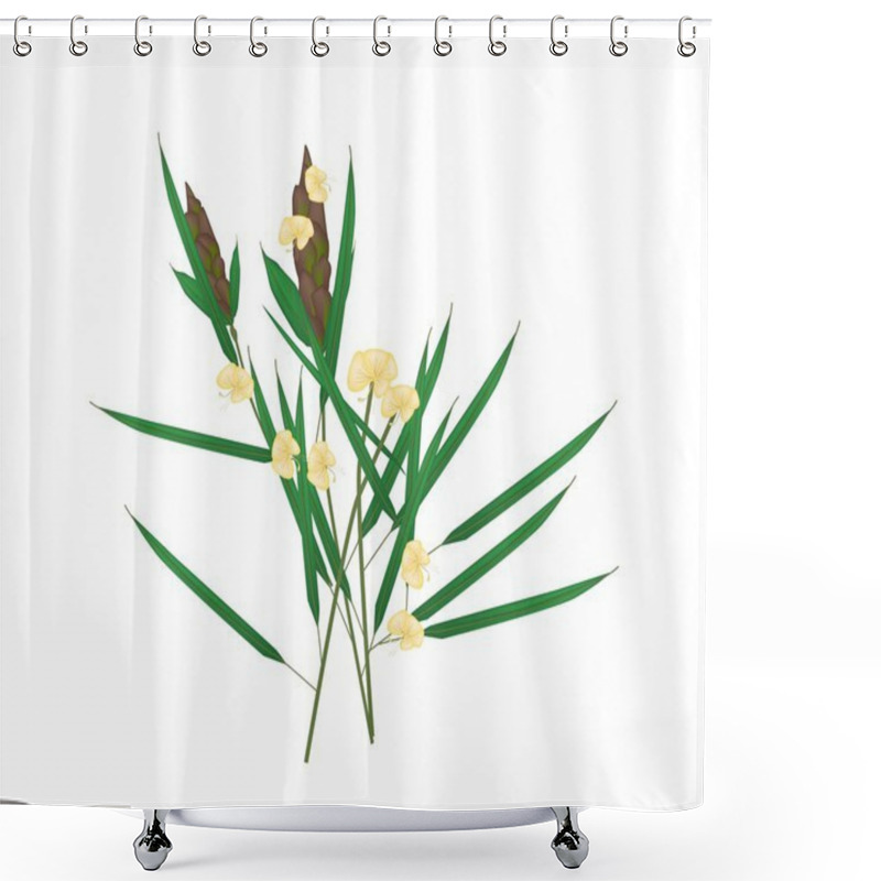 Personality  Barleria Lupulina Lindl Plant On White Background Shower Curtains