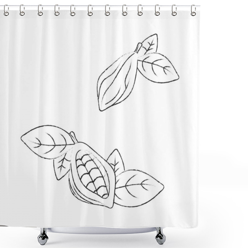 Personality  Set Of Cocoa Pod Illustrations. Sketch Vector Food Illustration. Essential Oil, Medicine, Cosmetic, Chocolate Ingredient Shower Curtains