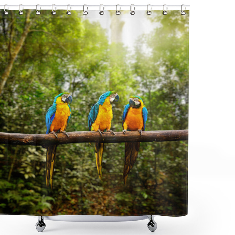 Personality  Blue-and-Yellow Macaw Ara Ararauna In Forest Shower Curtains