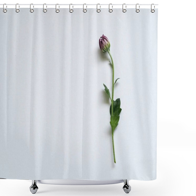 Personality  A Delicate Purple Flower Bud With Green Leaves Against A Clean White Background. Shower Curtains