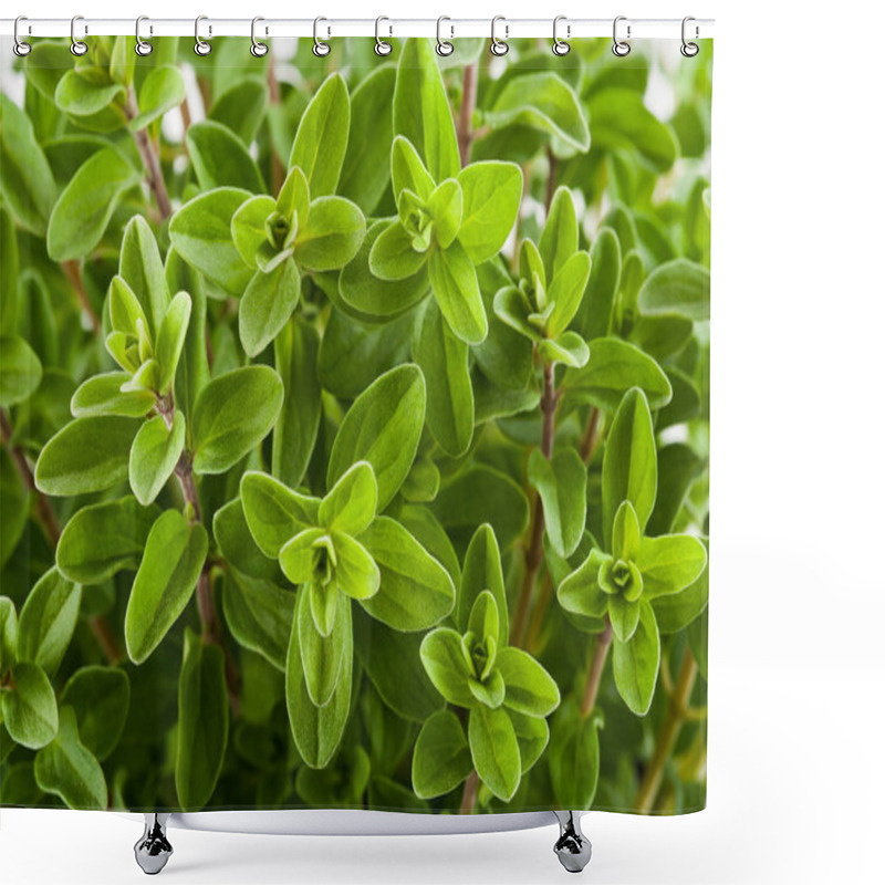 Personality  Marjoram Shower Curtains