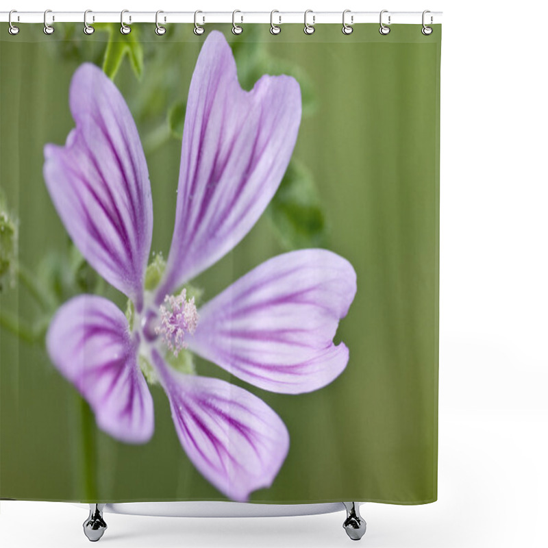 Personality  Malva Sylvestris, Common Mallow, High Mallow, Blue Mallow, Cheese-cake Shower Curtains