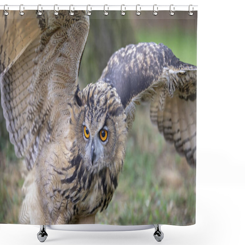 Personality  Eurasian Eagle Owl In Natural Habitat  Shower Curtains