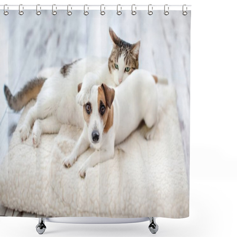 Personality  Dog And Cat  Shower Curtains