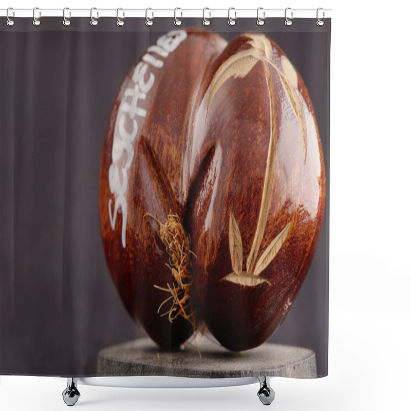 Personality  Seychelles Sea's Coconuts (coco De Mer) - Original Souvenir From Seychelles. Shower Curtains