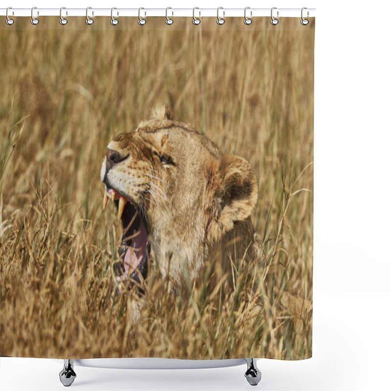 Personality  Liones Roaring Shower Curtains