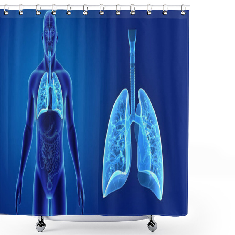 Personality  Lungs Zoom With Organs  Shower Curtains