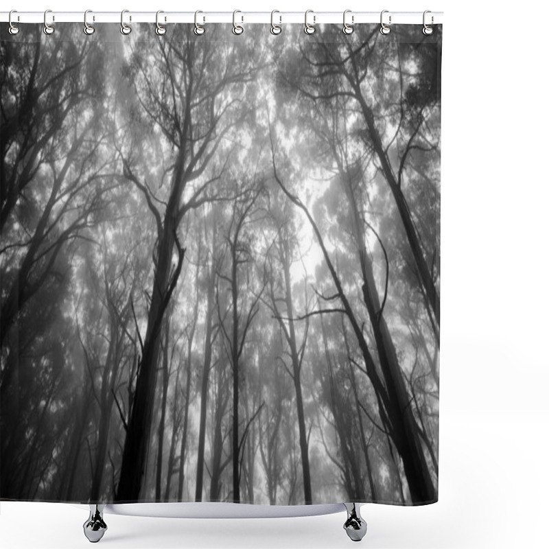 Personality  A Mystical View Of Forrest Tree Tops In Monochrome Shower Curtains