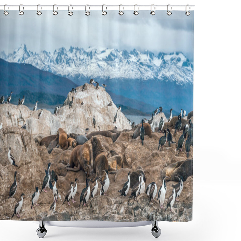 Personality  King Cormorant Colony Sits On An Island In The Beagle Channel Shower Curtains