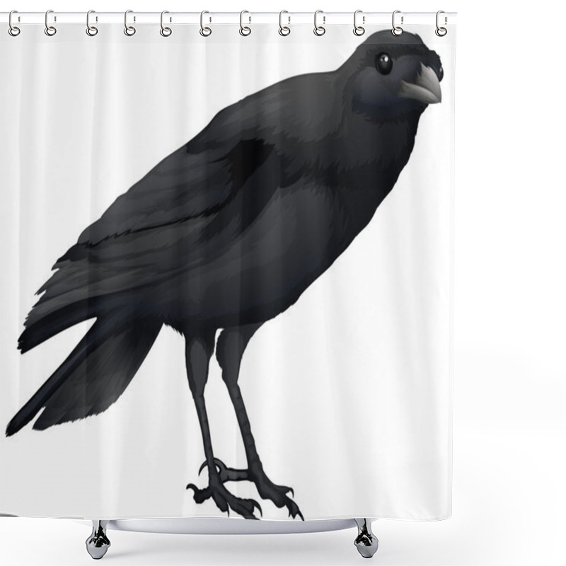 Personality  A Crow Shower Curtains