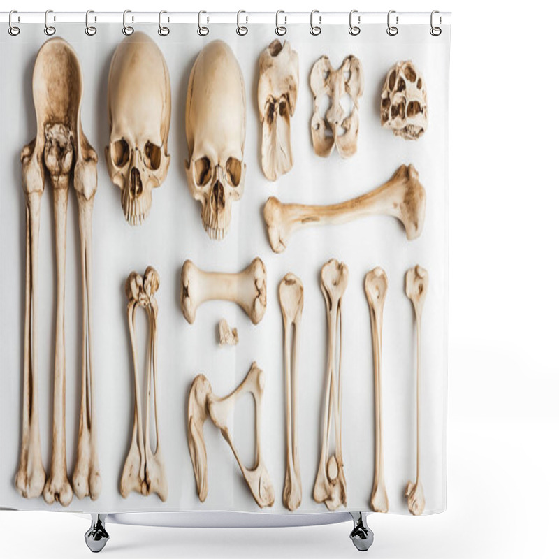 Personality  A Detailed Display Of Human Skeleton Bones And Skulls Arranged On A White Background, Representing Anatomy And Skeletal Structure. Shower Curtains