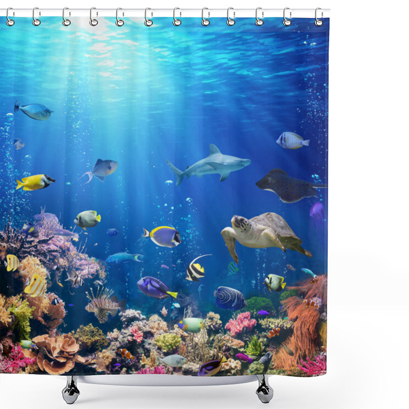 Personality  Underwater Scene With Coral Reef And Tropical Fish Shower Curtains