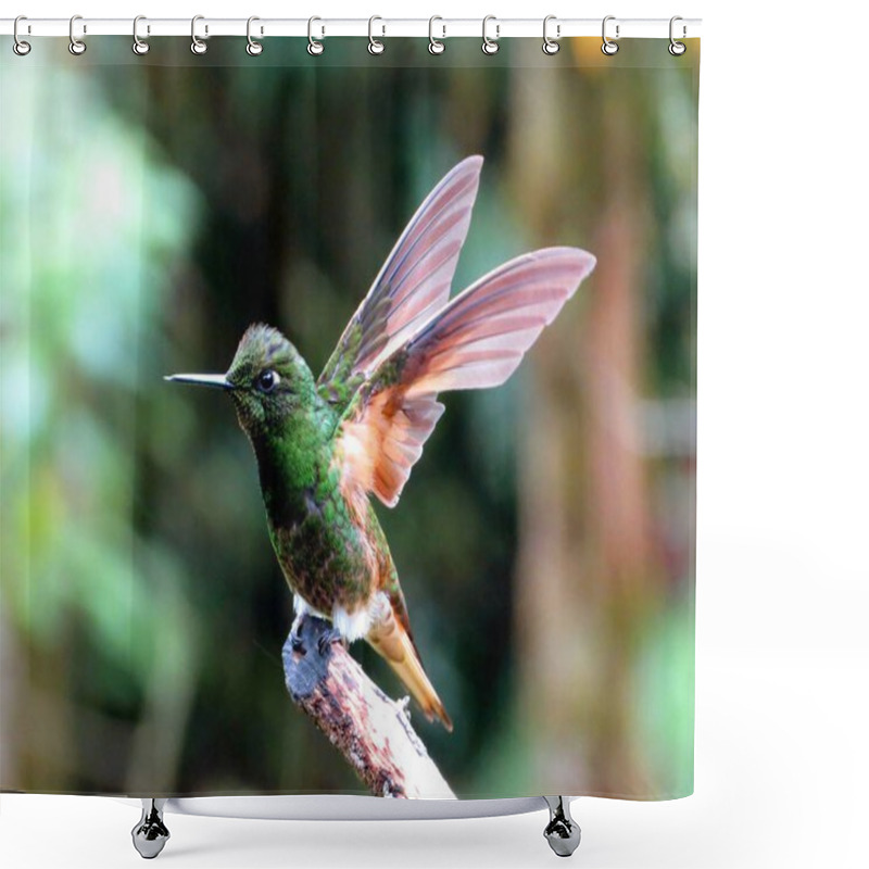 Personality  A Tiny Hummingbird Sitting On A Tree Branch With The Wings Flapping Shower Curtains