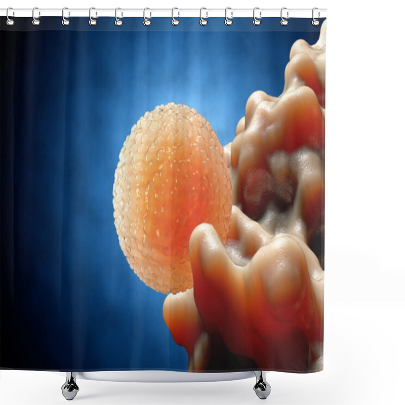 Personality  Spermatozoons, Sperm, Floating To Ovule - 3d Render Shower Curtains