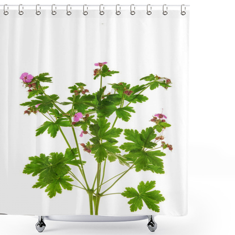 Personality  Meadow Geranium  Shower Curtains