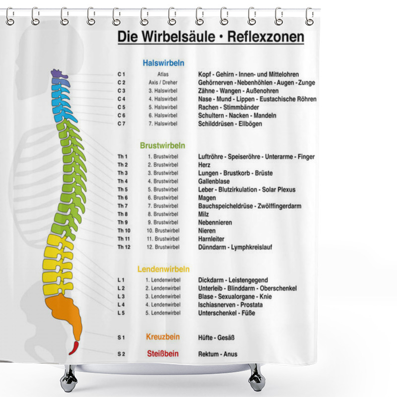 Personality  Backbone Reflexology Chart With Accurate Description Of The Corresponding Internal Organs And Body Parts, And With Names And Numbers Of The Vertebras. GERMAN LANGUAGE. Shower Curtains