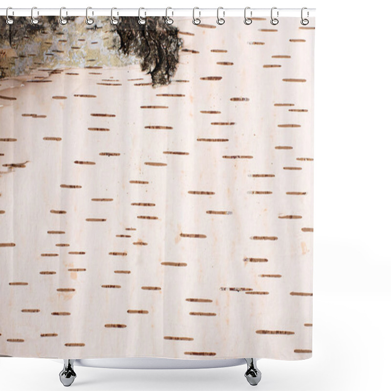 Personality  Birch Bark Inner Layer Texture. Natural Background. Light Birch Bark Pattern With Dark Stripes Shower Curtains