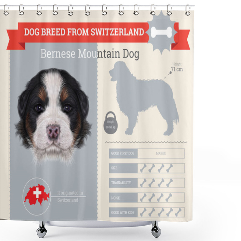 Personality  Bernese Mountain Dog Breed Vector Infographics Shower Curtains