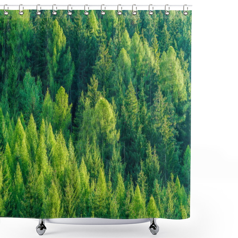 Personality  Green Forest Of Fir And Pine Trees Landscape Background In The Wilderness Nature Area. Concept Of Sustainable Natural Resources, Healthy Environment And Ecology. Shower Curtains