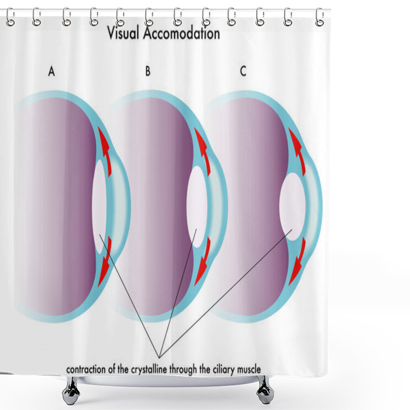 Personality  Visual Accomodation Shower Curtains