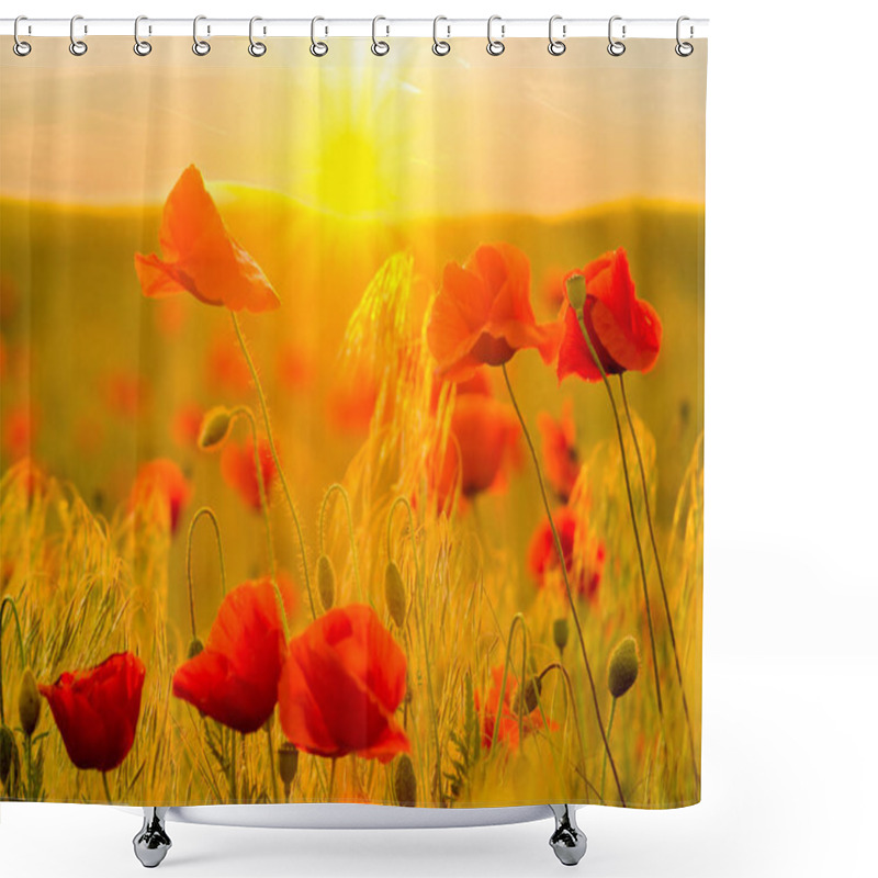 Personality  Red Poppy Field In The Light Of The Rising Sun Shower Curtains