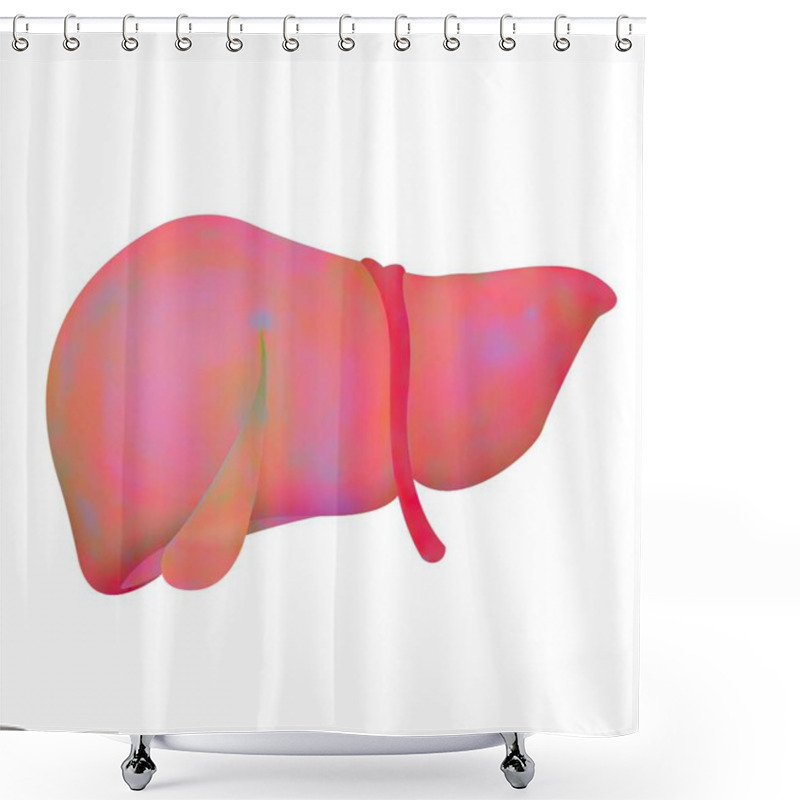 Personality  Liver. Medical Illustration, Human Anatomy Shower Curtains