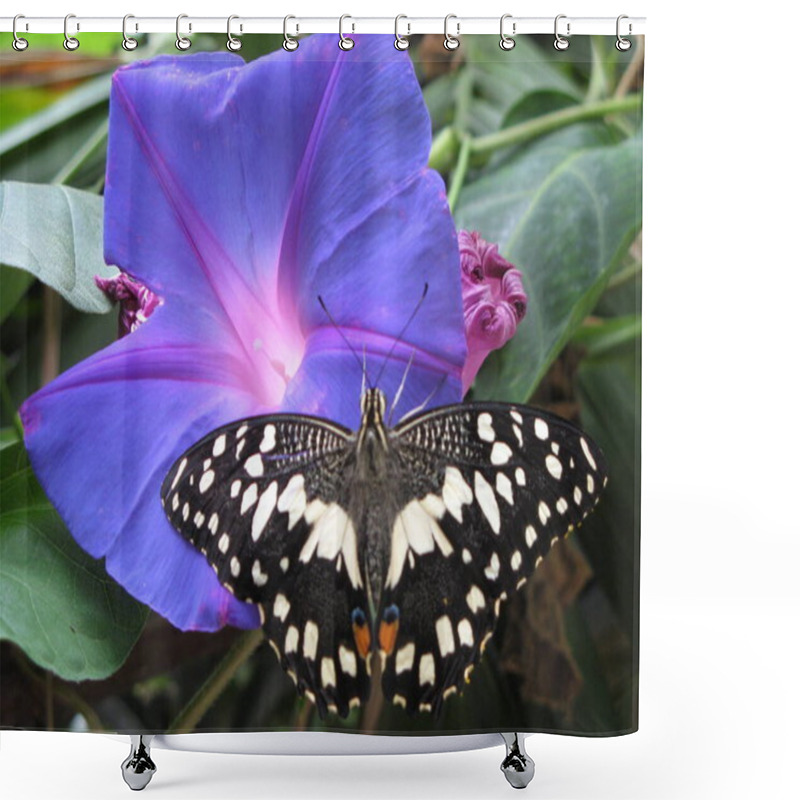 Personality  Butterfly On A Flower Shower Curtains