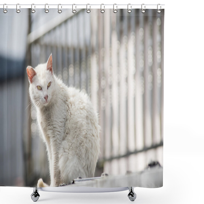 Personality  Dirty White Cat Shower Curtains