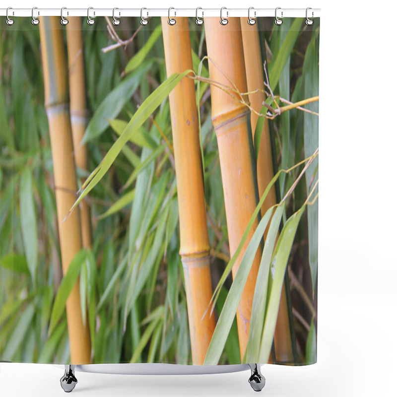 Personality  Bamboo Cane And Leaves Shower Curtains