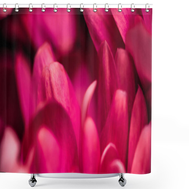 Personality  Red Daisy Flower Petals In Bloom, Abstract Floral Blossom Art Ba Shower Curtains