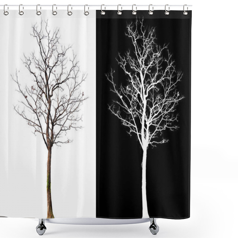 Personality  Isolated Tree Without Leaves With Clipping Path And Alpha Channal Shower Curtains