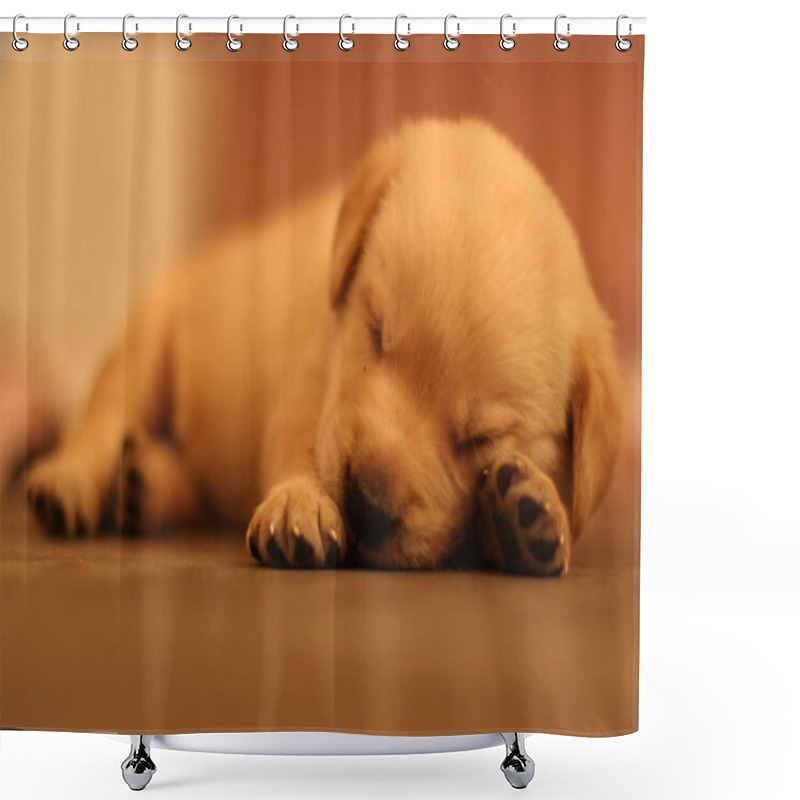 Personality  Adorable Golden Retriever Puppy Peacefully Sleeping On A Soft Surface, Close-up Of Tiny Paws And Serene Face. Perfect For Pet-related Designs, Blogs, Or Ads. Warm Tones Create A Cozy, Heartfelt Mood. Shower Curtains